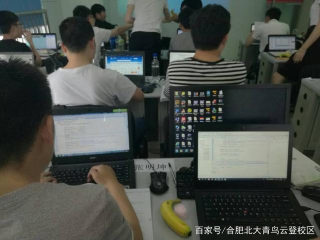 汽車維修與計算機軟件開發(fā) 職業(yè)前景的深度對比分析